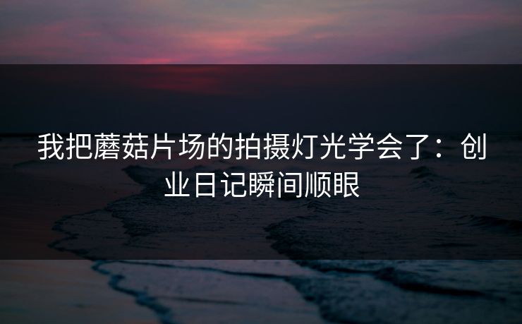 我把蘑菇片场的拍摄灯光学会了：创业日记瞬间顺眼