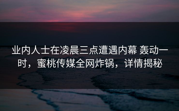 业内人士在凌晨三点遭遇内幕 轰动一时，蜜桃传媒全网炸锅，详情揭秘